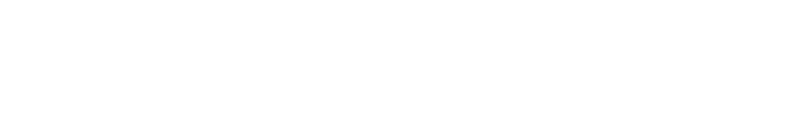 Logo Deluxair blanc